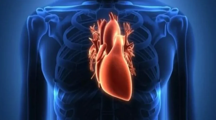 doenças cardiovasculares