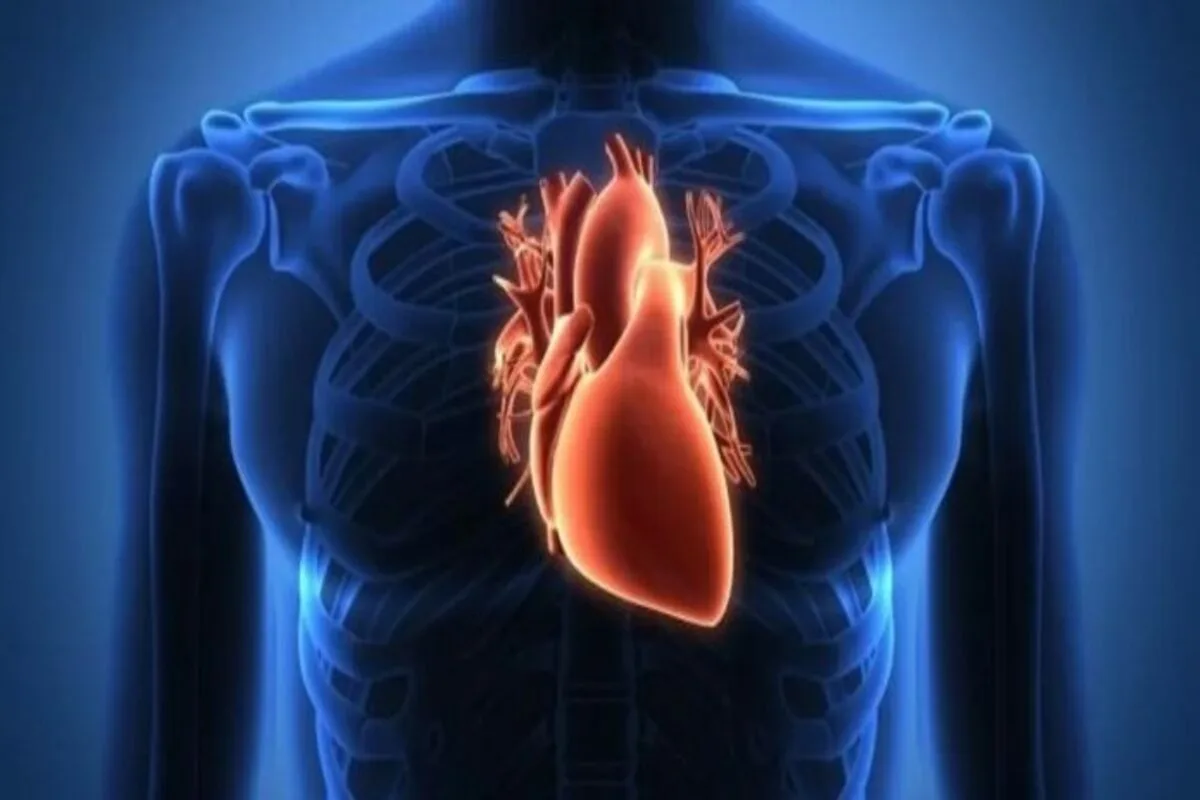doenças cardiovasculares