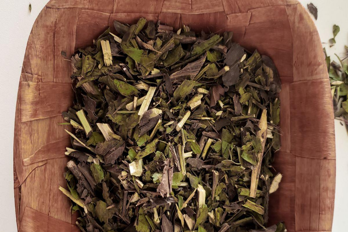 chá de carqueja
