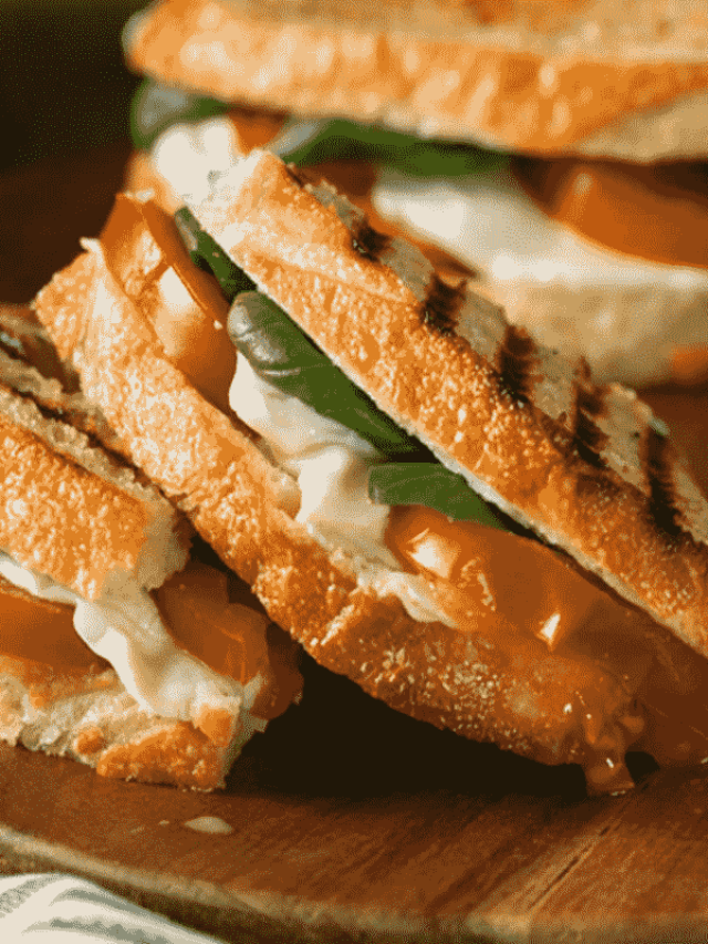 cropped-lanches-1.png