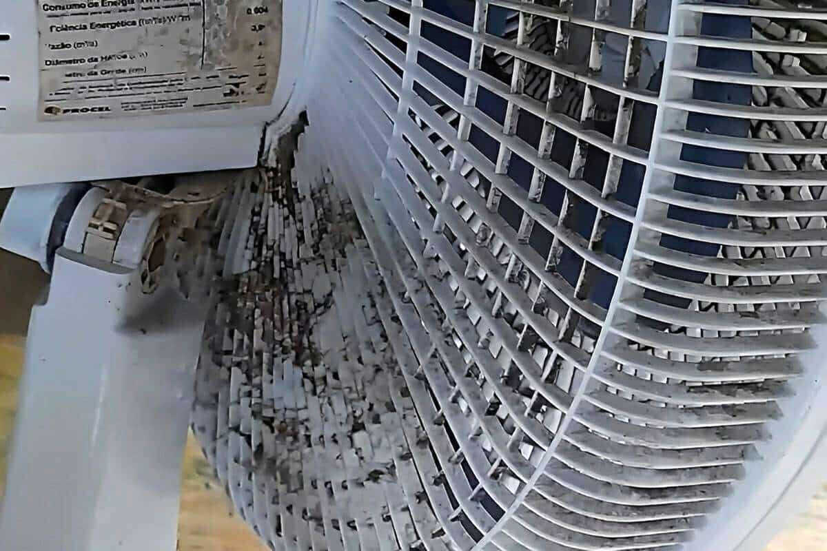  Limpar um ventilador de forma eficiente